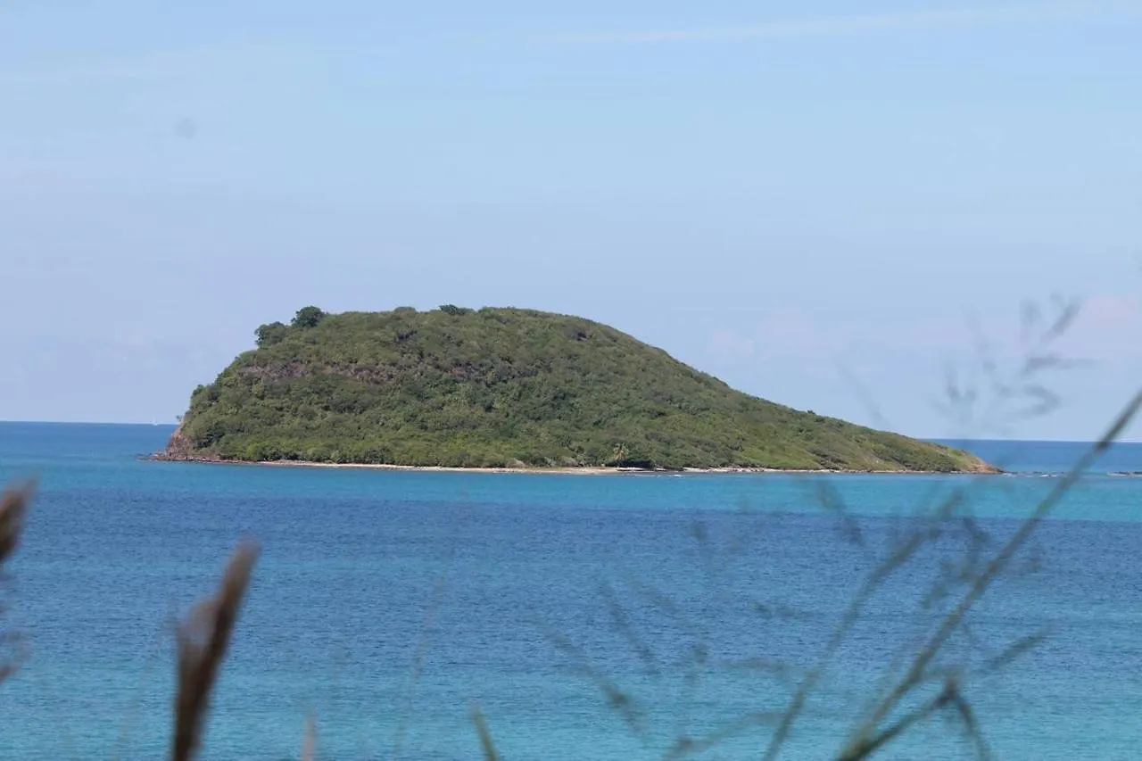 Villa Avec Piscine Et Vue Sur La Mer - Sainte Rose Guadeloupe